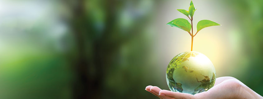 sustainability